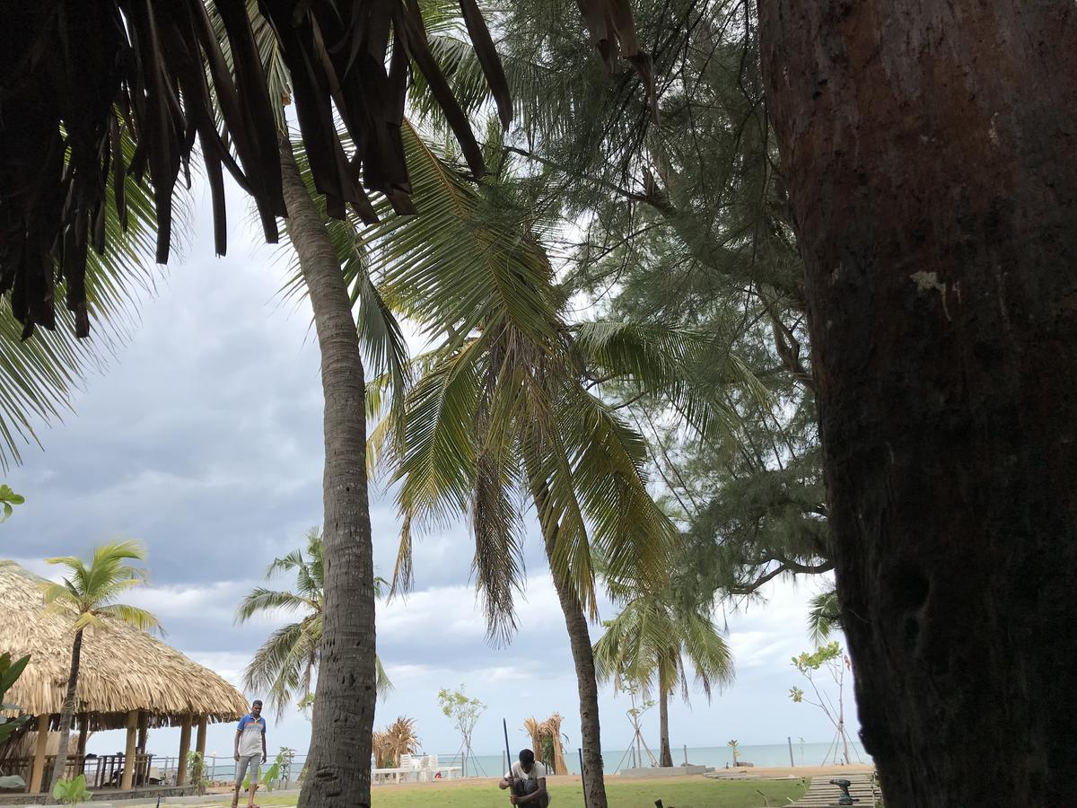Royal Beach Vịnh Arugam Ngoại thất bức ảnh