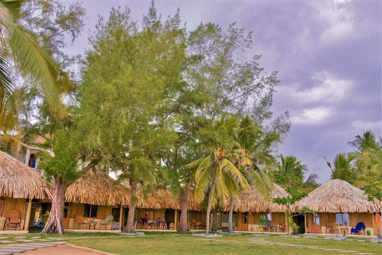 Royal Beach Vịnh Arugam Ngoại thất bức ảnh